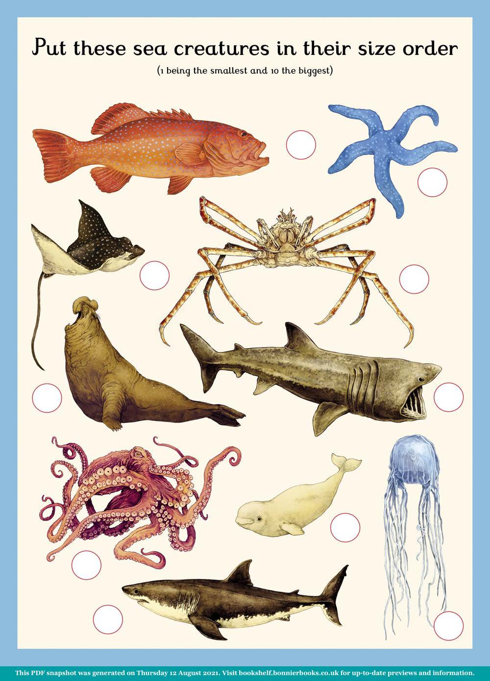 Oceanarium Activity Book