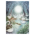 The Wild Swans - Postcard