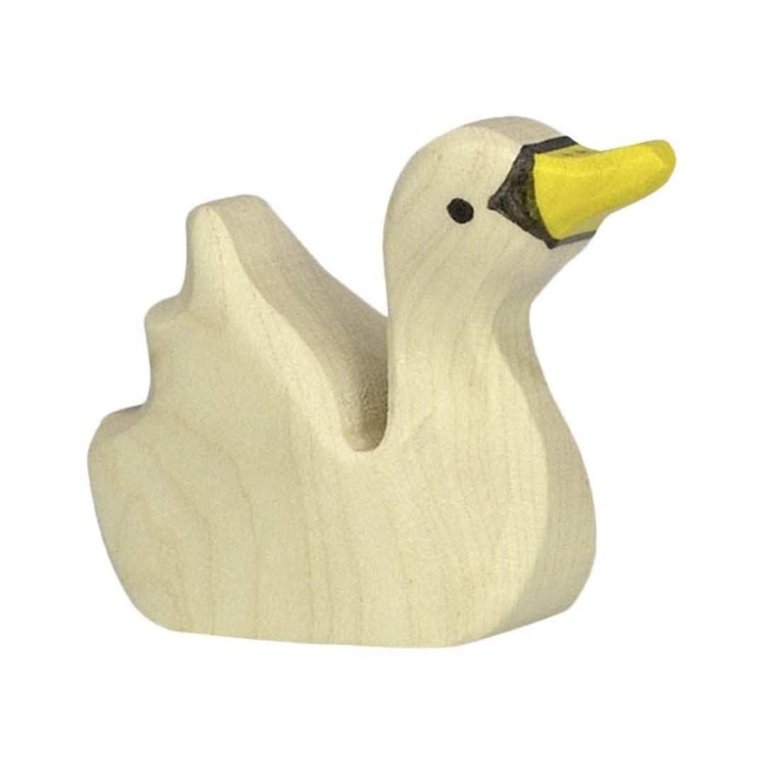 Baby Swan
